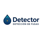 Detector.cl