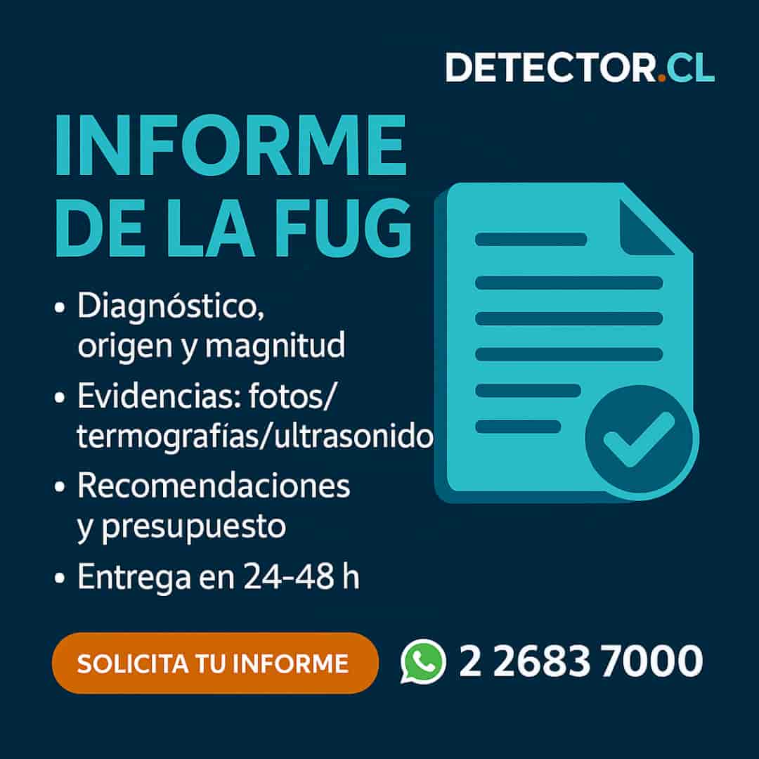 informe fuga