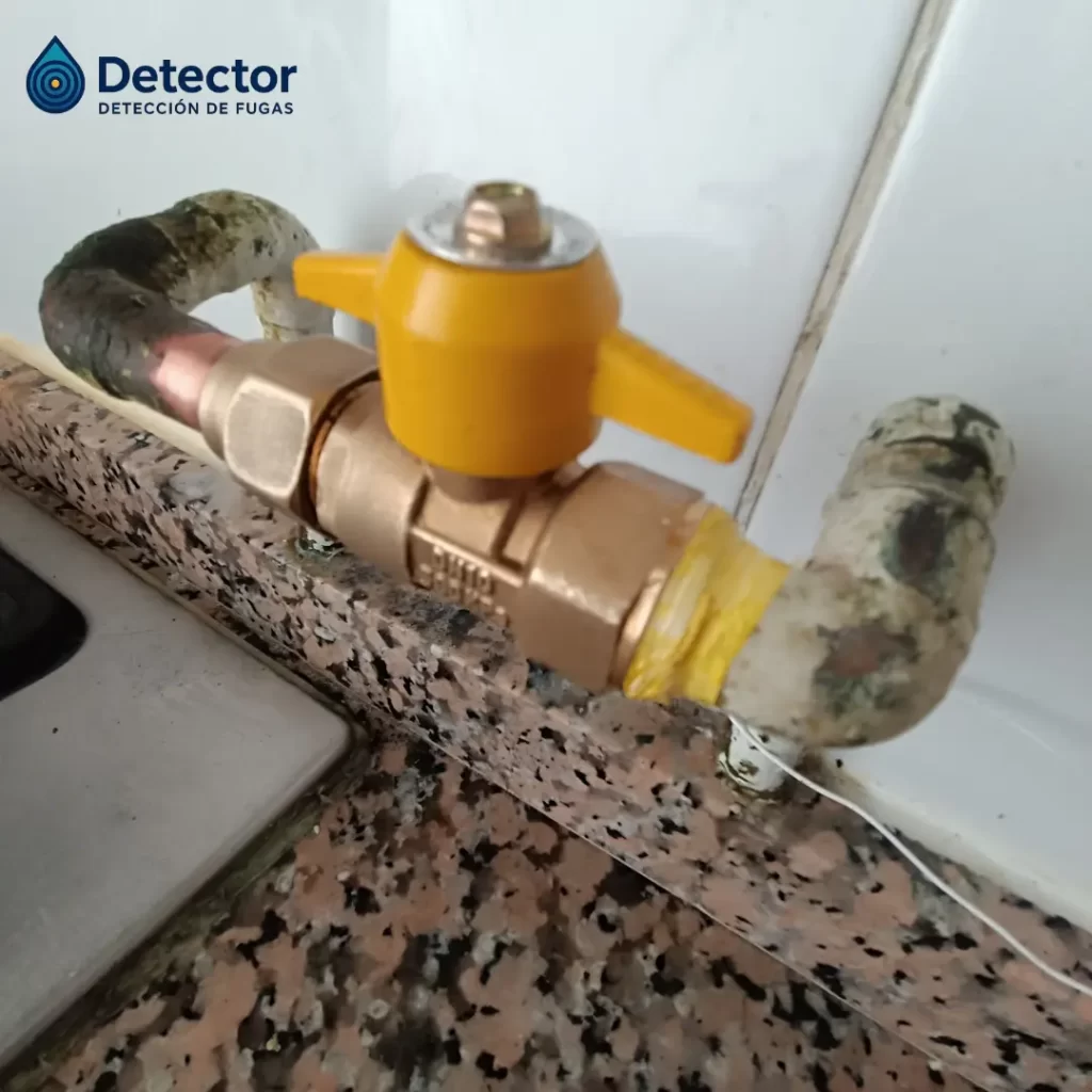 problemas comunes de calefont 12 deteccion de fuga 5